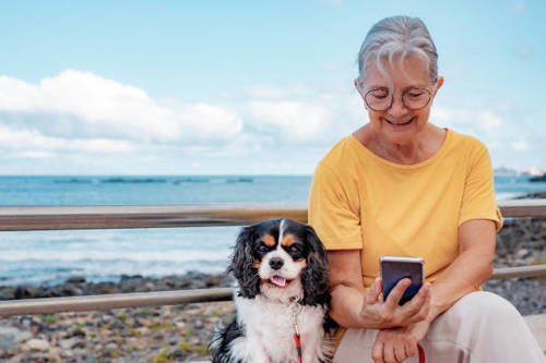 istockphoto-1516832675-612x612.jpg